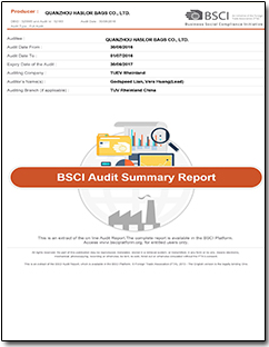 BSCI Audit Report