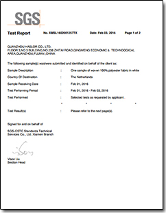 SGS Test Report2