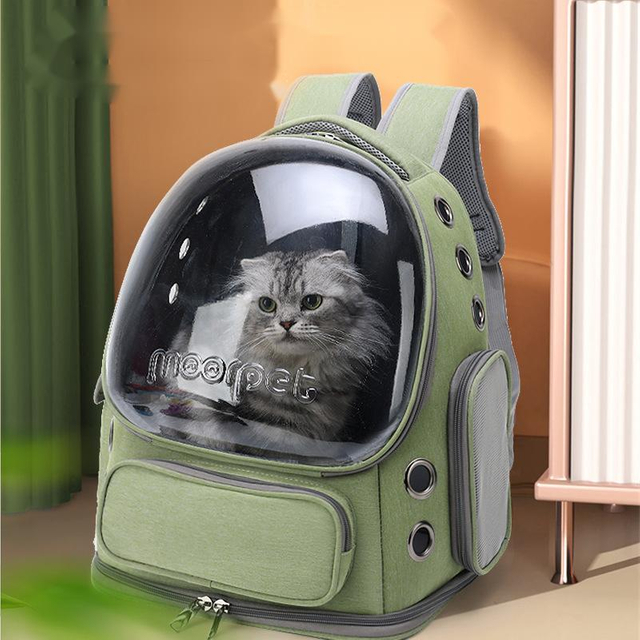 Breathable Cat Carrier Large Space Pet Backpack for Kitty Small Dog Transparent & Foldable Pet Carrier for Travel Hiking