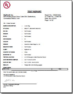 UL Test Report