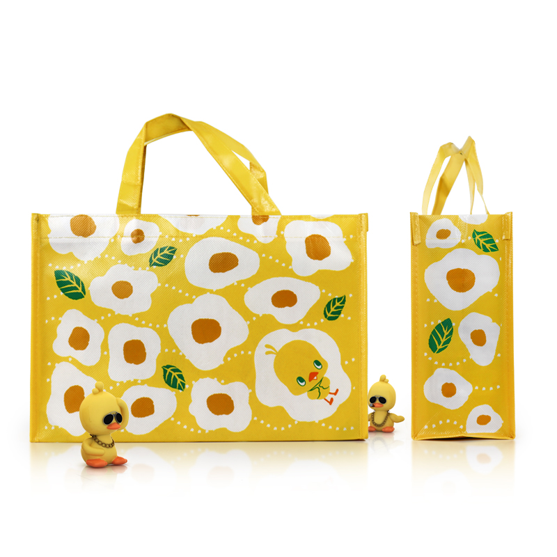 wholesale Laminated Non Woven Shopping Bag