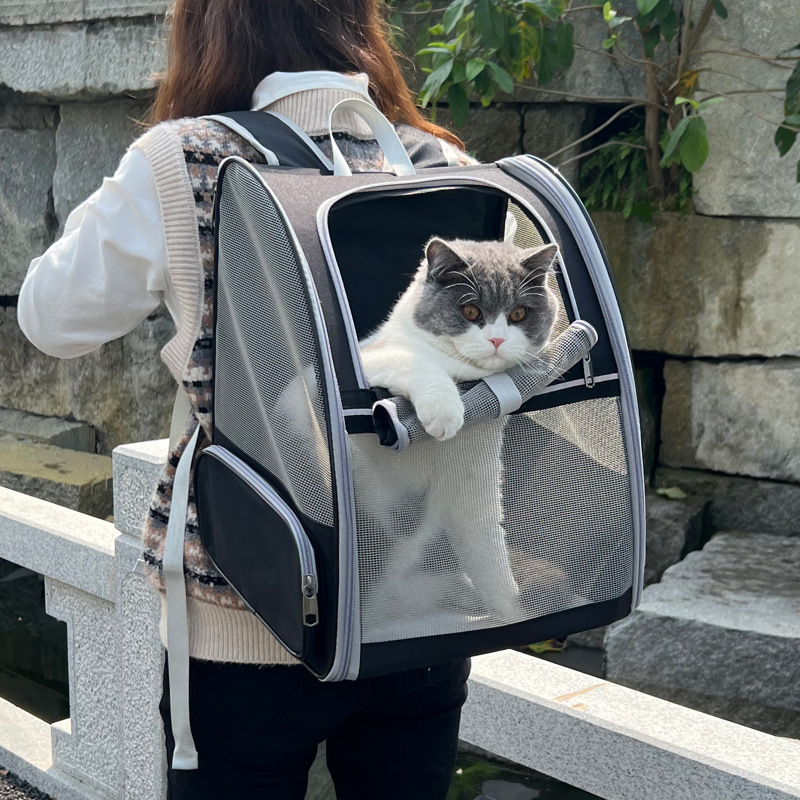 pet backpack
