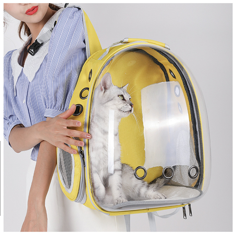 pet backpack