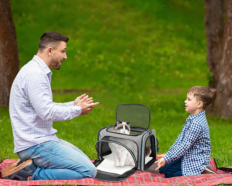 expandable pet carrier bag
