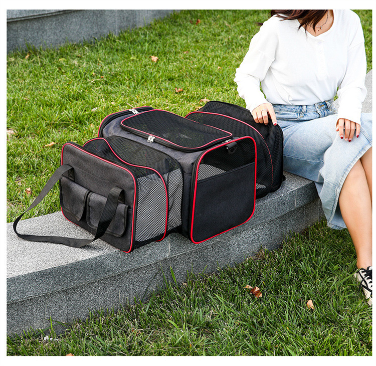 pet carrying bag
