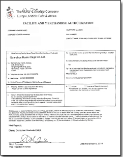 Disney Audit Report