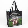Promotional Custom Recycled Laminated Non Woven Shopping Bag