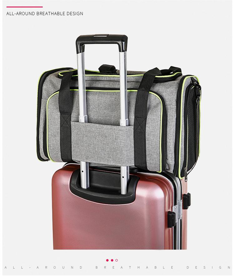portable pet carrying bag