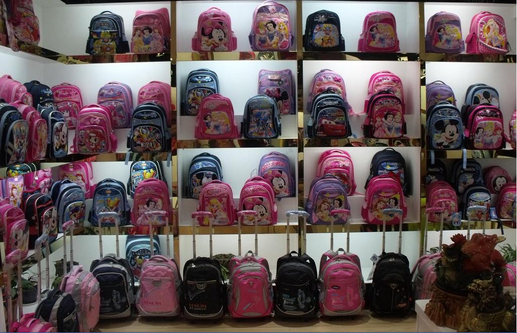 School Backpack Bag