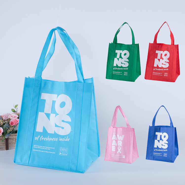 Customized Eco Friendly Promotional Non Woven Carrier Bag