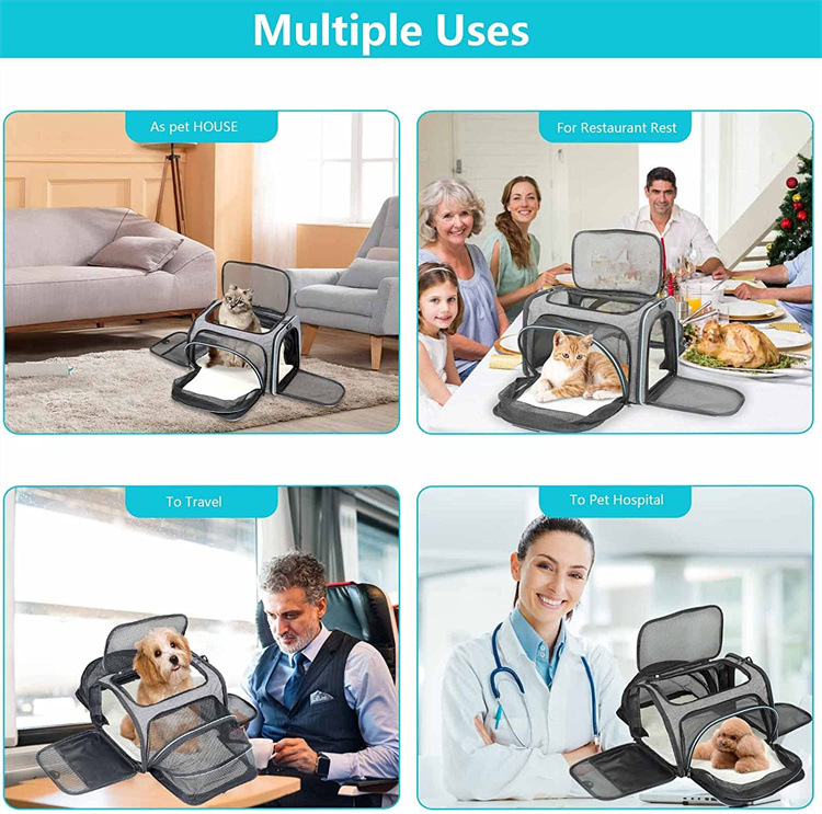 expandable pet carrier bag