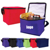 Customize Portable Non-woven Thermal Insulation Cooler Bag with Logo Printing