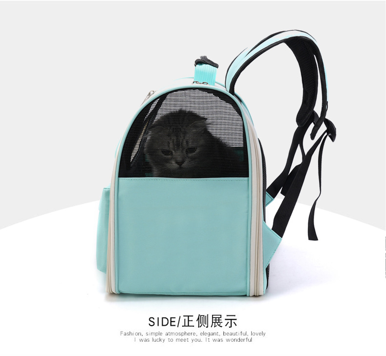 pet backpack