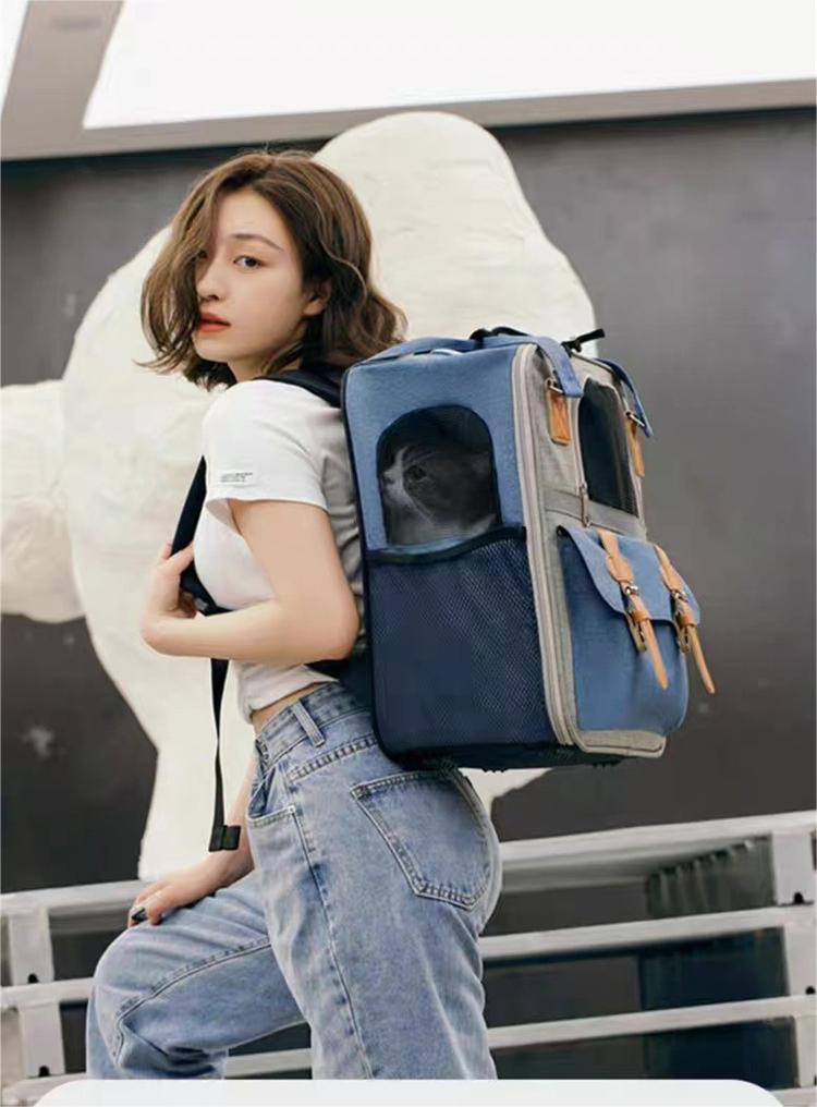 cat carrier bag
