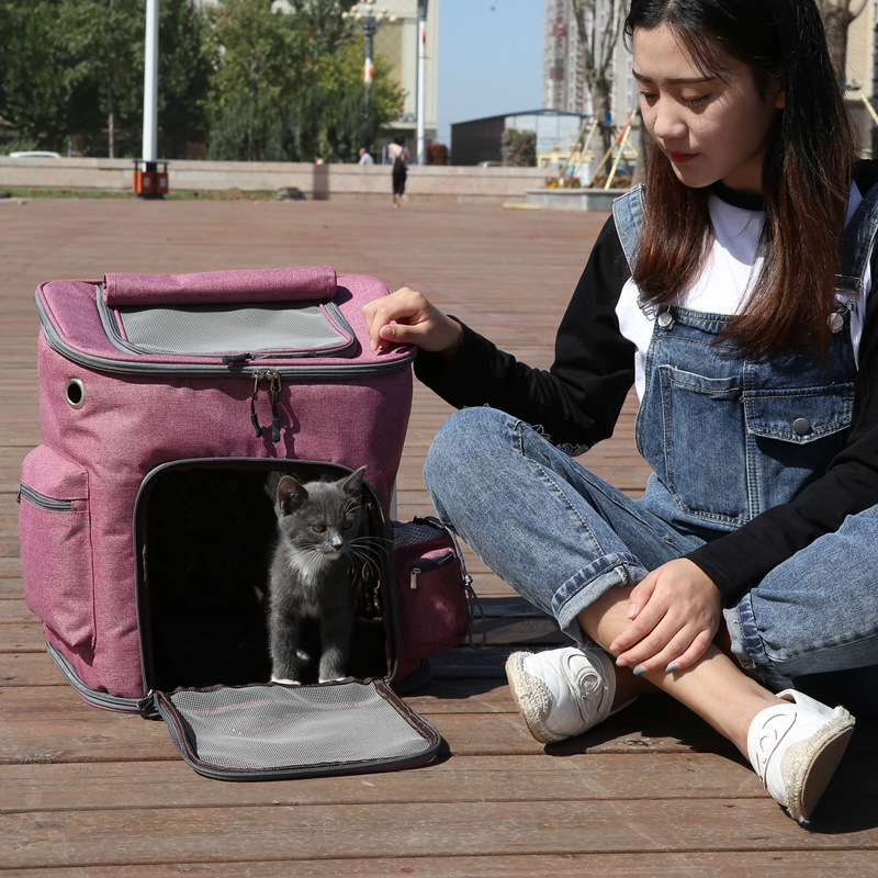 pet backpack