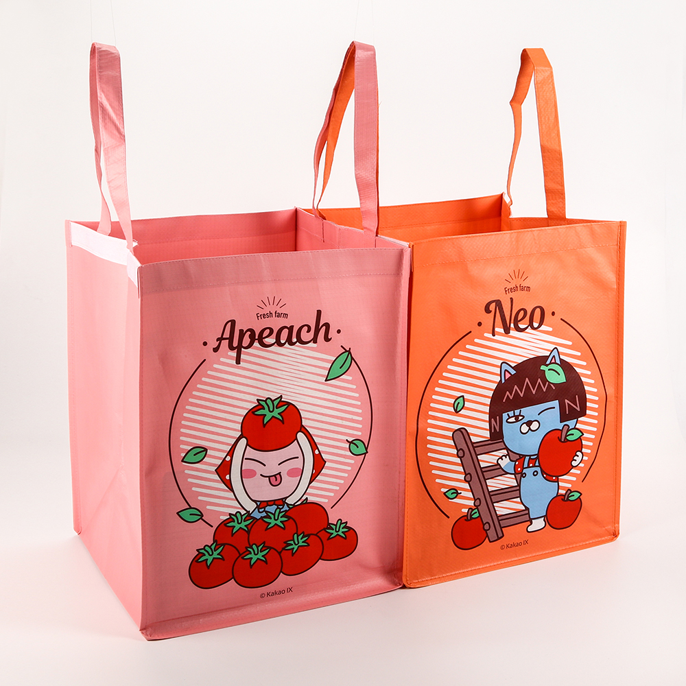 Promotional Custom Recycled Laminated Non Woven Shopping Bag