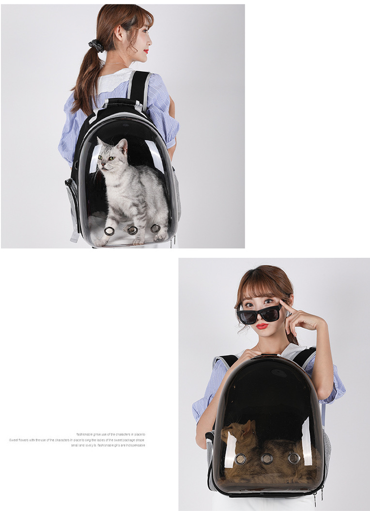 pet backpack