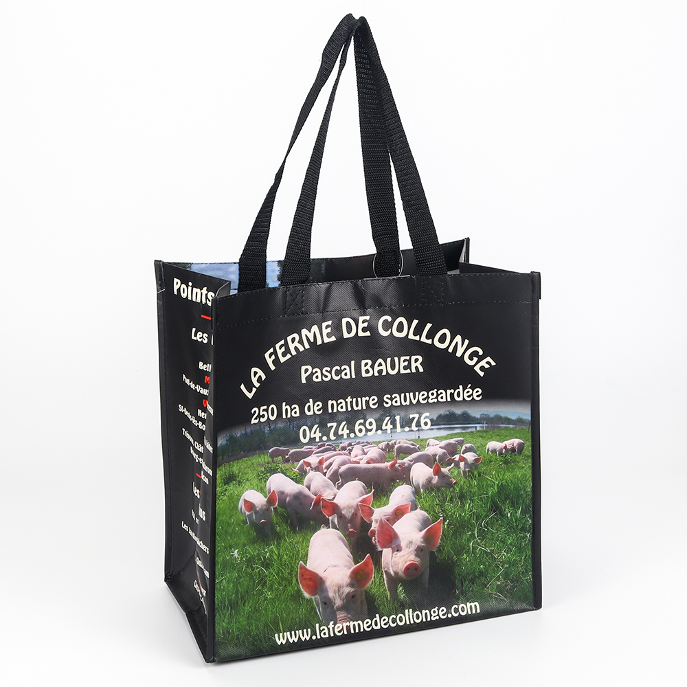 Custom Laminated Non Woven Shopping Bag