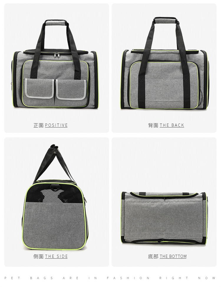 pet carrying bag