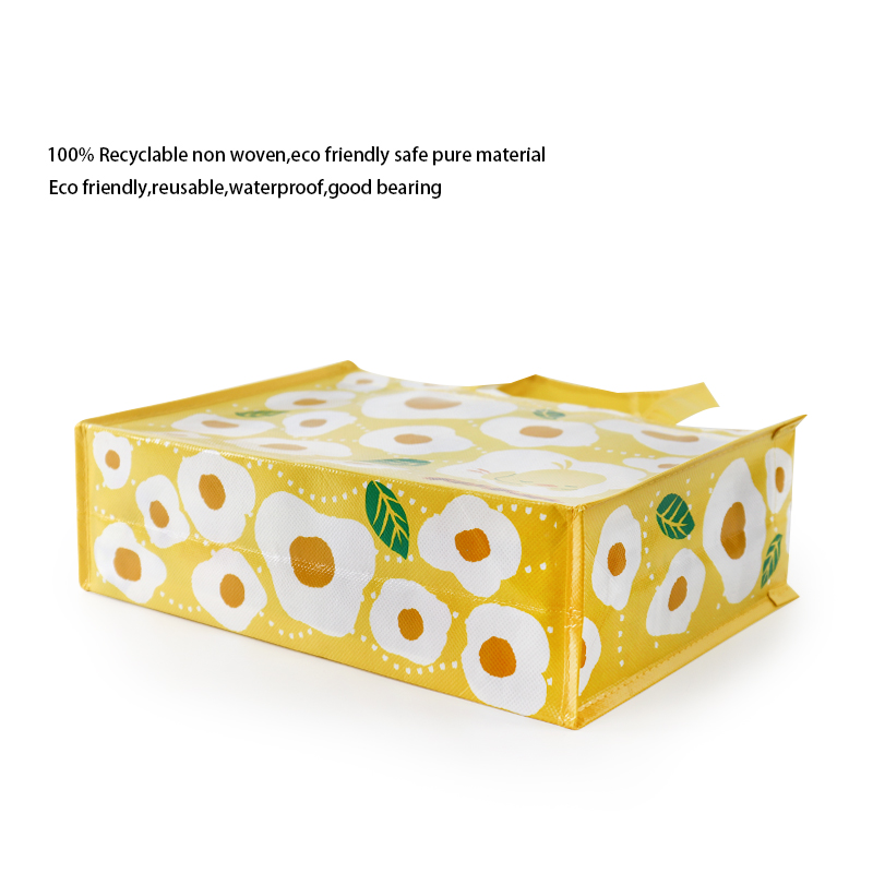 Promotional Custom Reusable Laminated Non Woven Shopping Bag