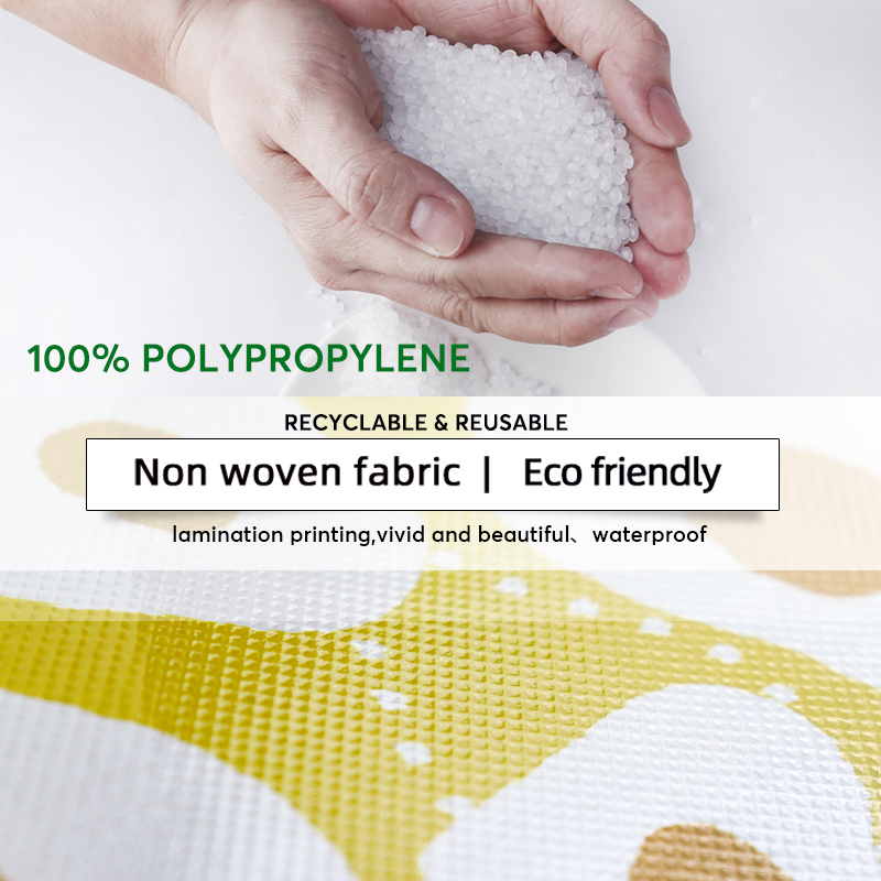 Eco Friendly Laminated Non Woven Shopping Bag