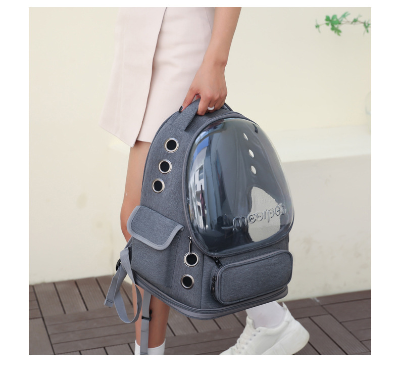 pet carrying bag