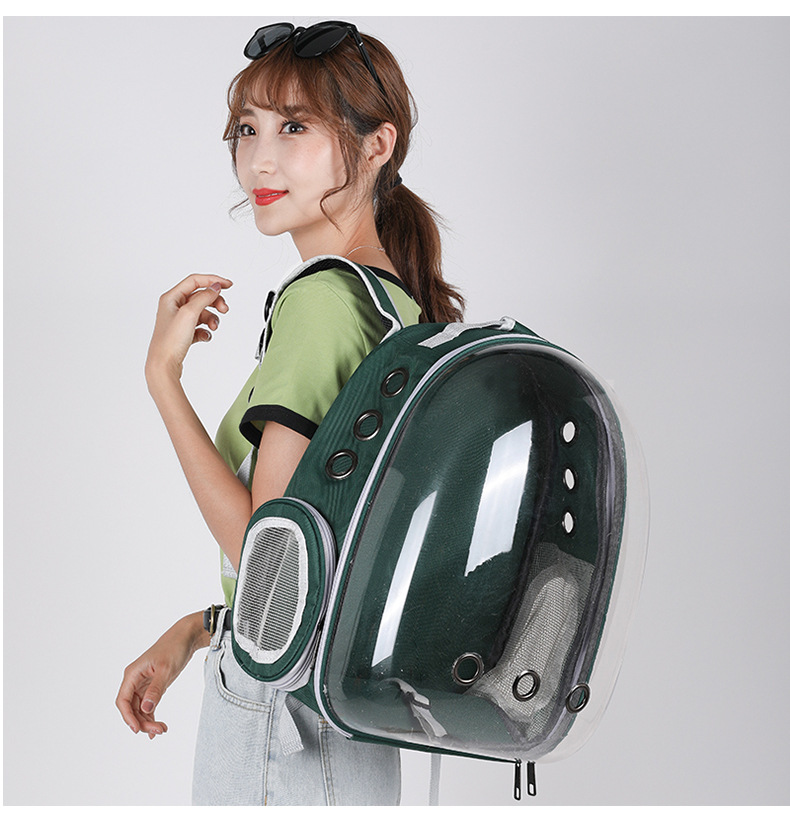 cat carrier