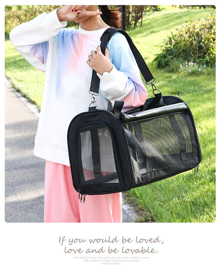 portable pet carrying bag