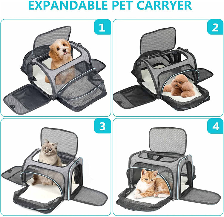 expandable pet carrier bag