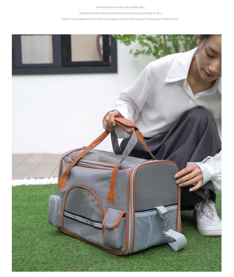 portable pet carrying bag