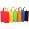 Custom Logo Reusable Promotional Non Woven Carry Bag