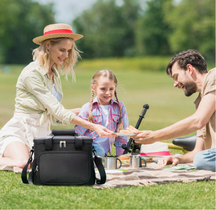 outdoor picnic lunch cooler bag
