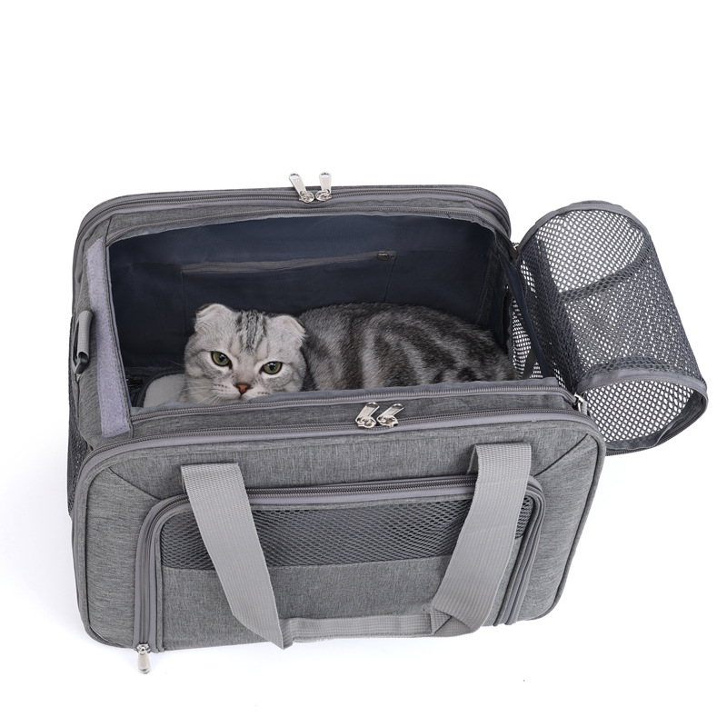 cat carrier