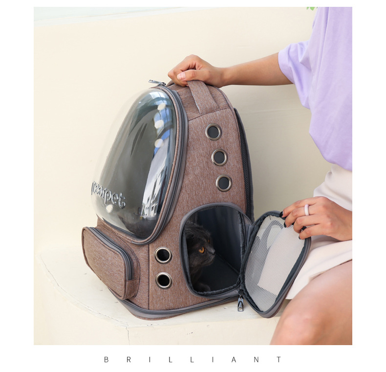 pet backpack