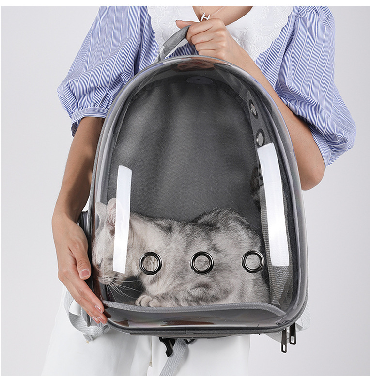 pet carrier backpack