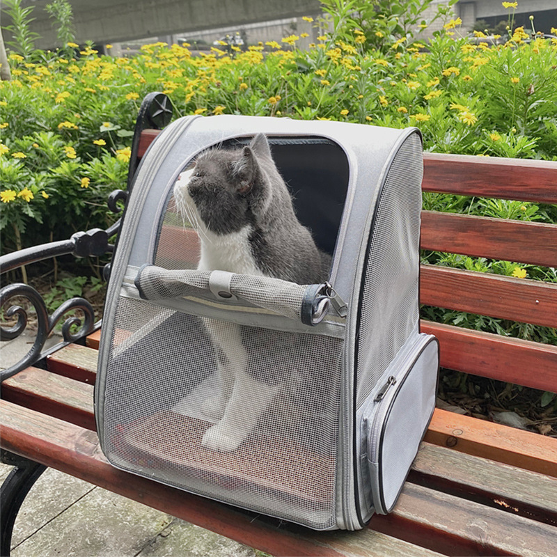 pet backpack